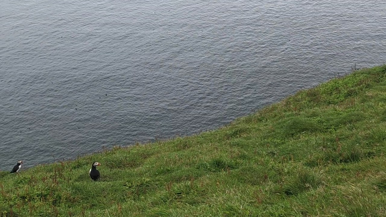 Still from the trip video at 2:05